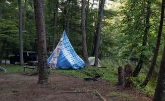 Mary D.'s photo at Abrams Creek Campground — Great Smoky Mountains National Park near Maryville, TN