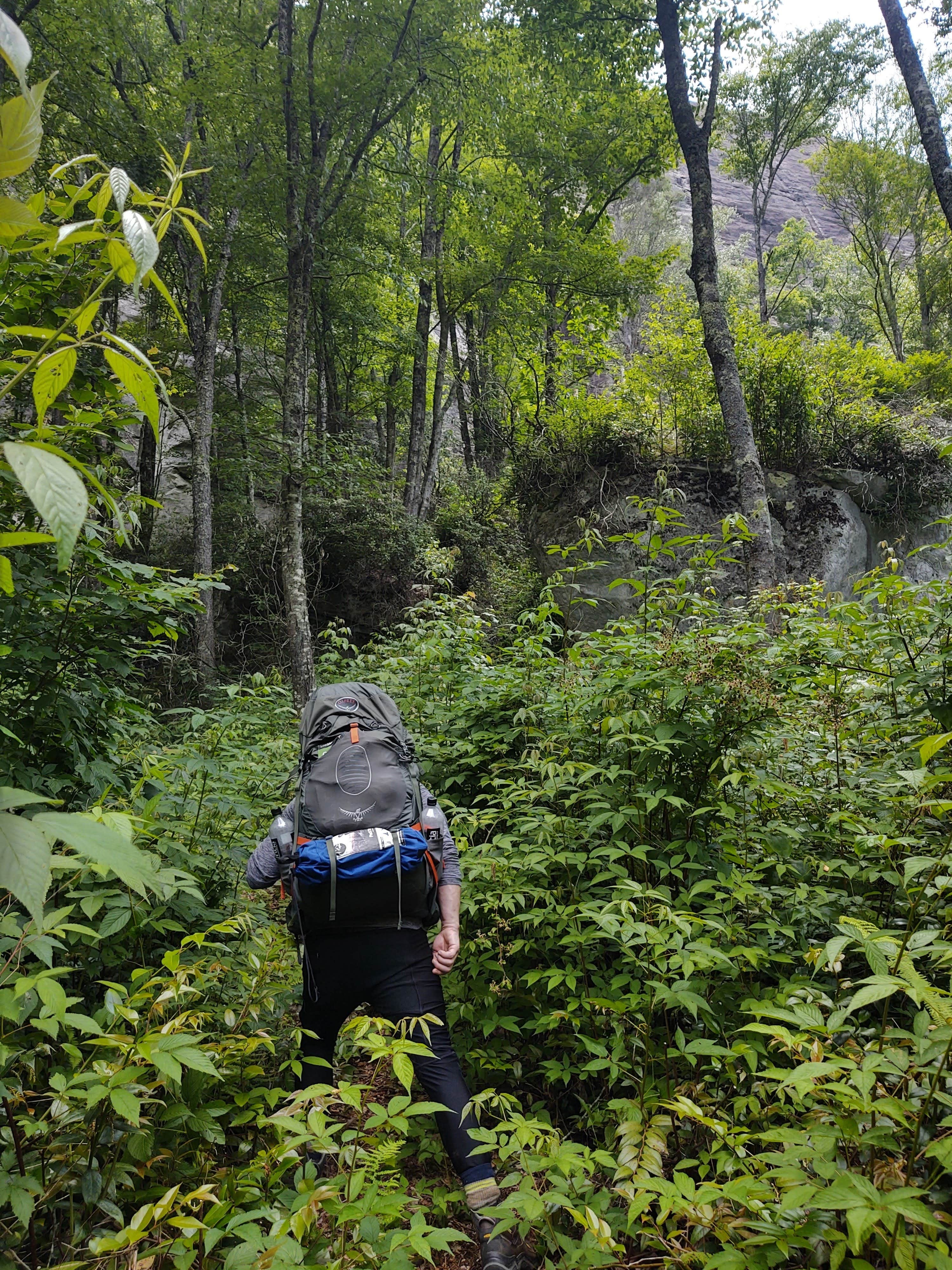 Camper submitted image from Panthertown Valley Backcountry Area - 4