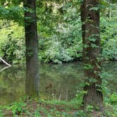 Review photo of Abrams Creek Campground — Great Smoky Mountains National Park by Mary D., July 14, 2016