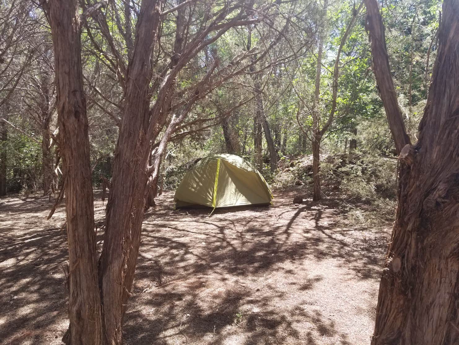 Camp Avalon Spiritual Nature Retreat | The Dyrt