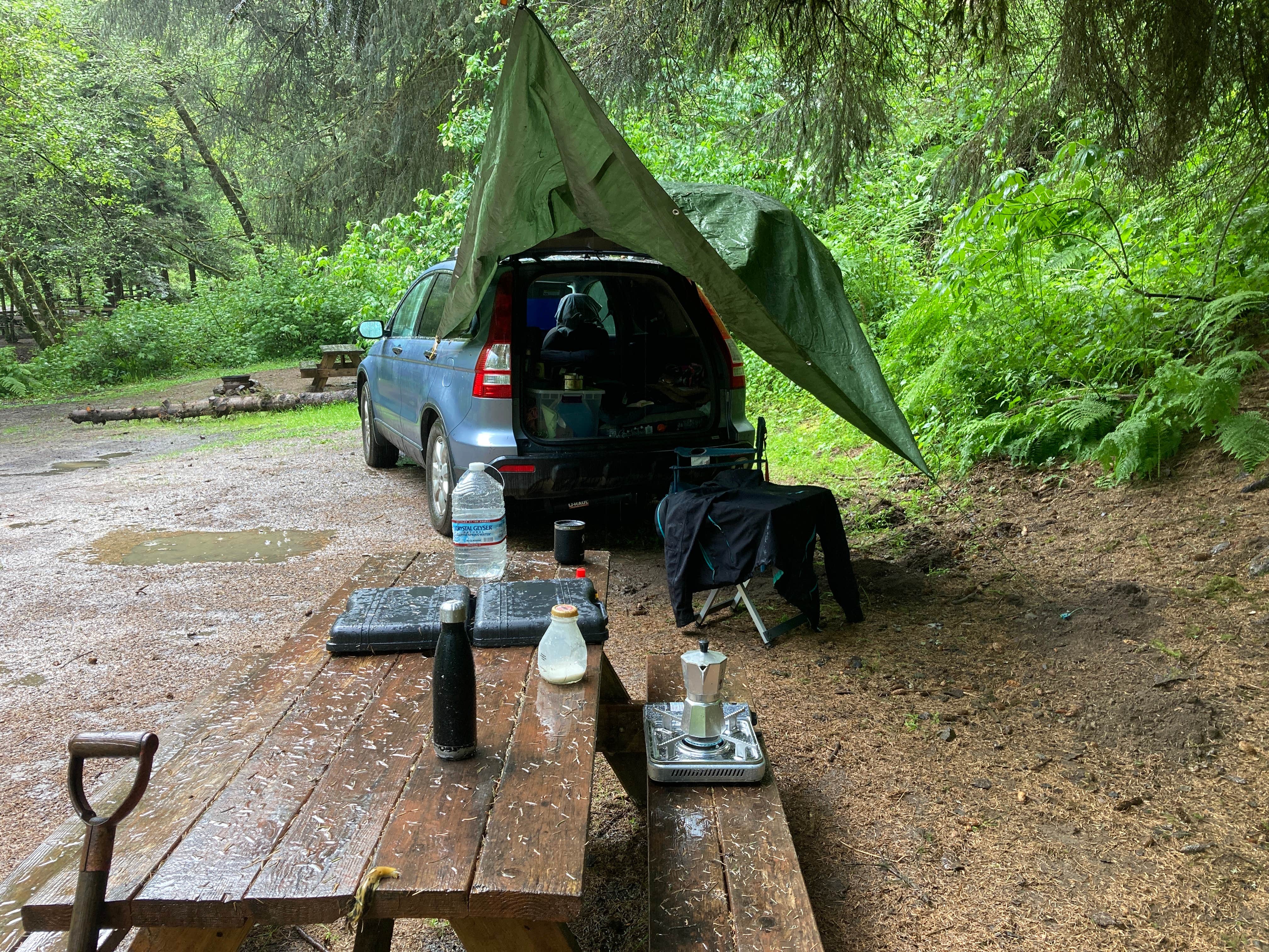 Jessi P.'s photo at Caspar Beach RV Park & Campground near Westport, CA