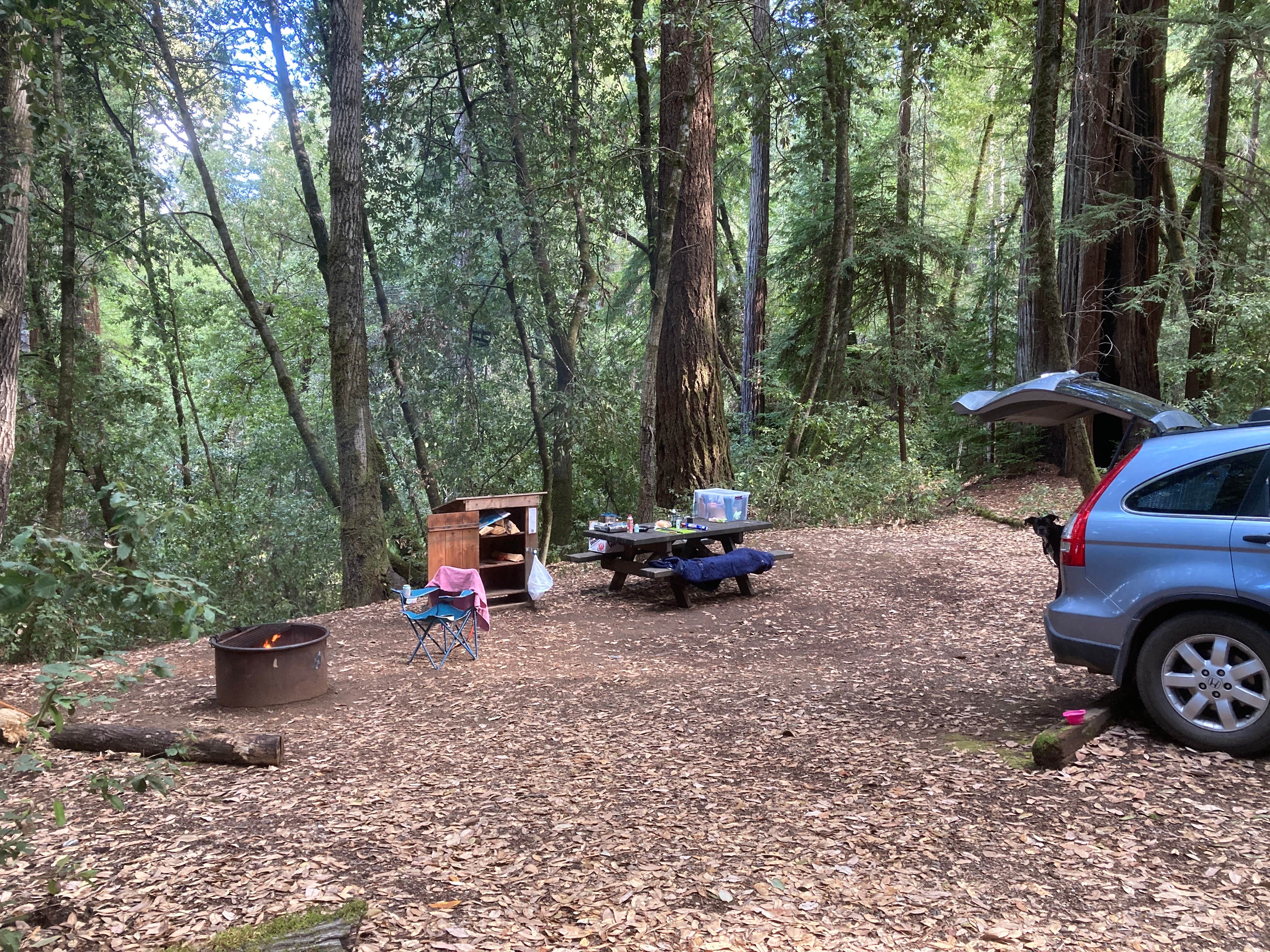 Jessi P.'s photo at Hendy Woods State Park Campground near Navarro, CA