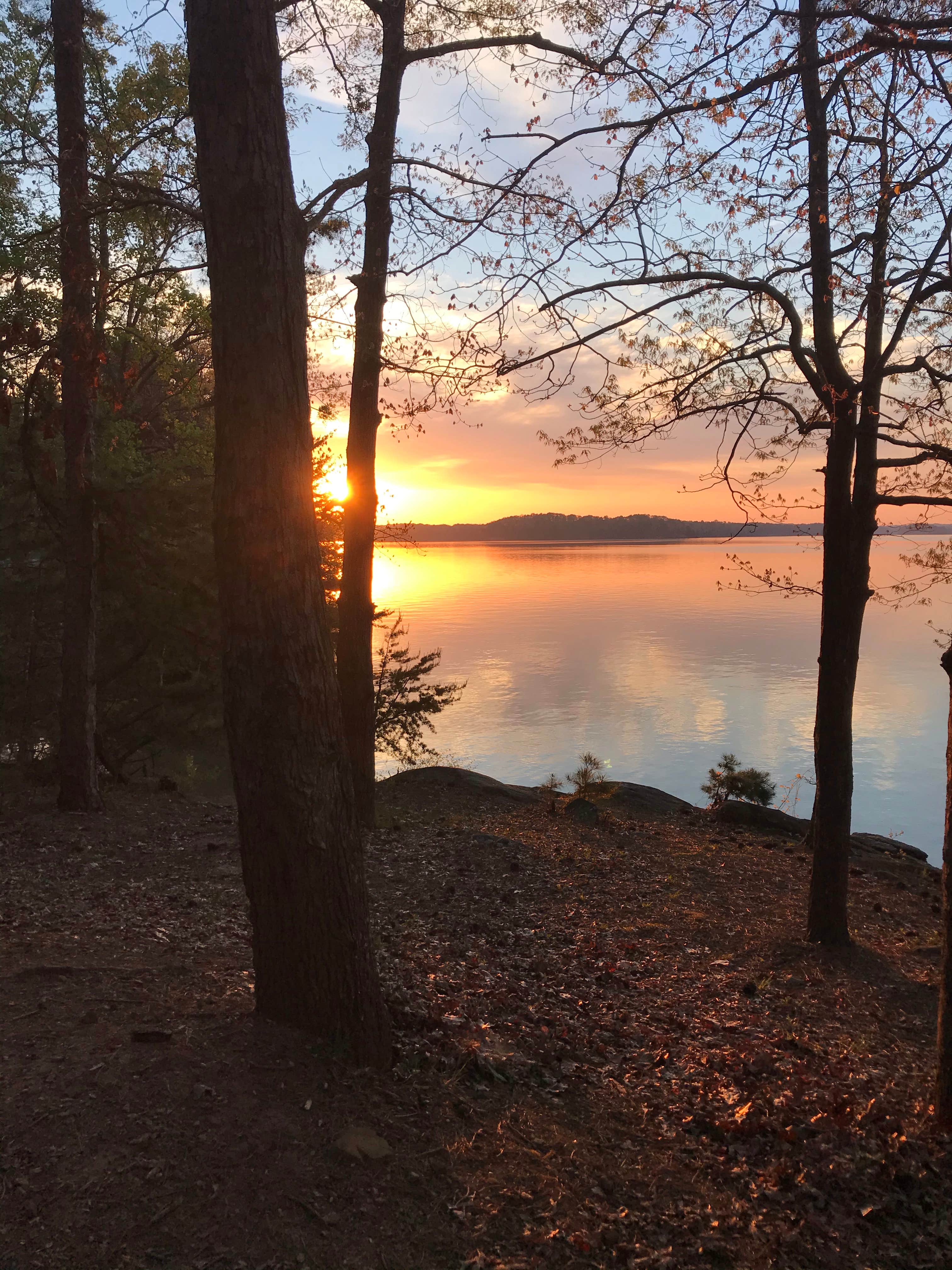 Camper submitted image from COE Lake Sidney Lanier Sawnee Campground - 2