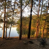 Review photo of COE Lake Sidney Lanier Sawnee Campground by Cheryl H., April 27, 2021