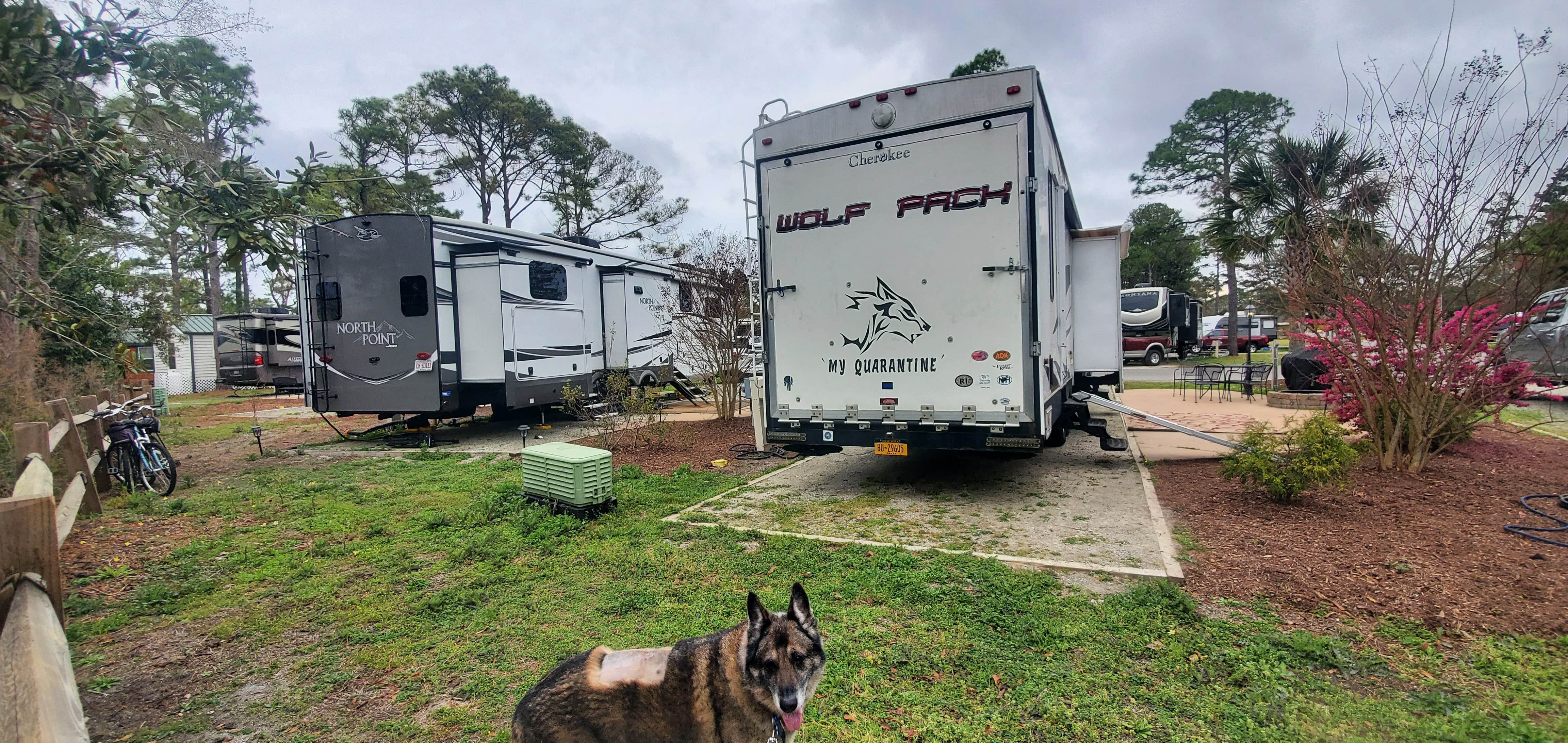 MacGyver R.'s photo of camping with pets at Wilmington KOA near Wilmington, NC