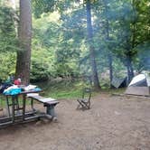 Review photo of Abrams Creek Campground — Great Smoky Mountains National Park by Mary D., July 14, 2016