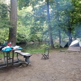 Review photo of Abrams Creek Campground — Great Smoky Mountains National Park by Mary D., July 14, 2016