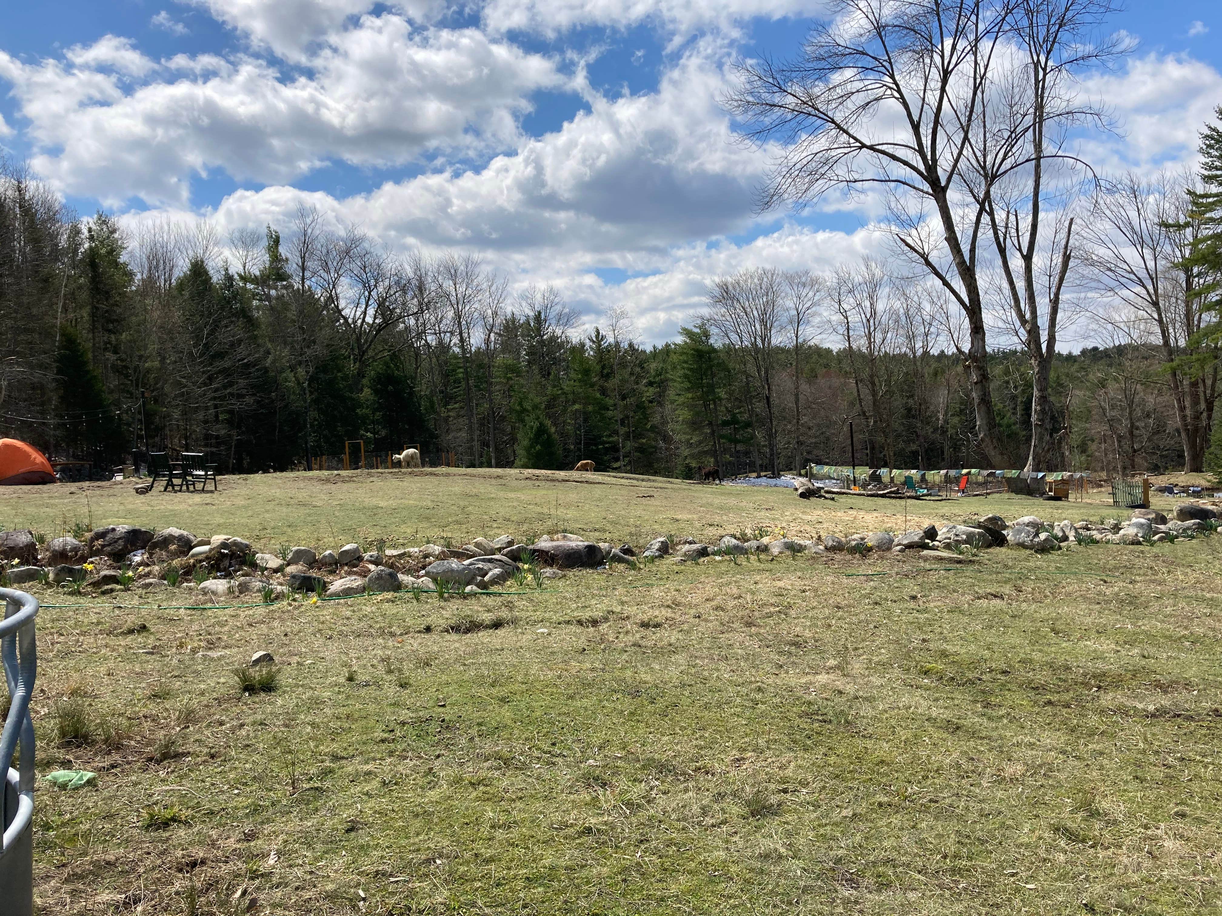 Camper-submitted photo at Willoughby Farm Animal Rescue near Lyme, NH