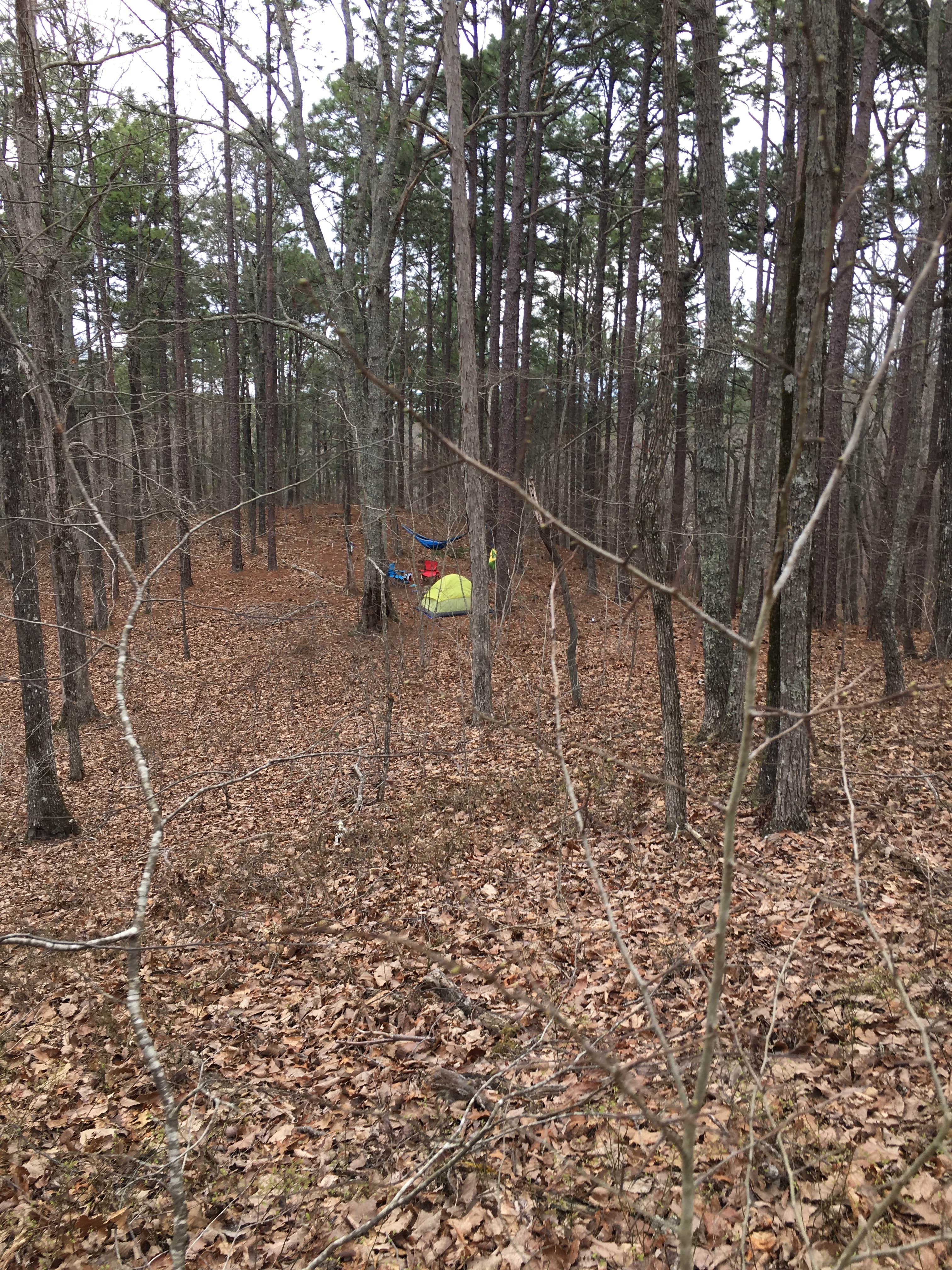 Asher K.'s photo at Skyway Loop Campgrounds near Southern Trailhead near Hollins, AL