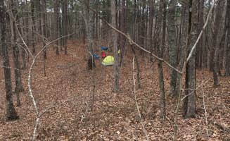 Asher K.'s photo at Skyway Loop Campgrounds near Southern Trailhead near Millerville, AL