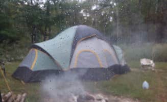 Shannon M.'s photo at Fiery Fork Conservation Area in Missouri