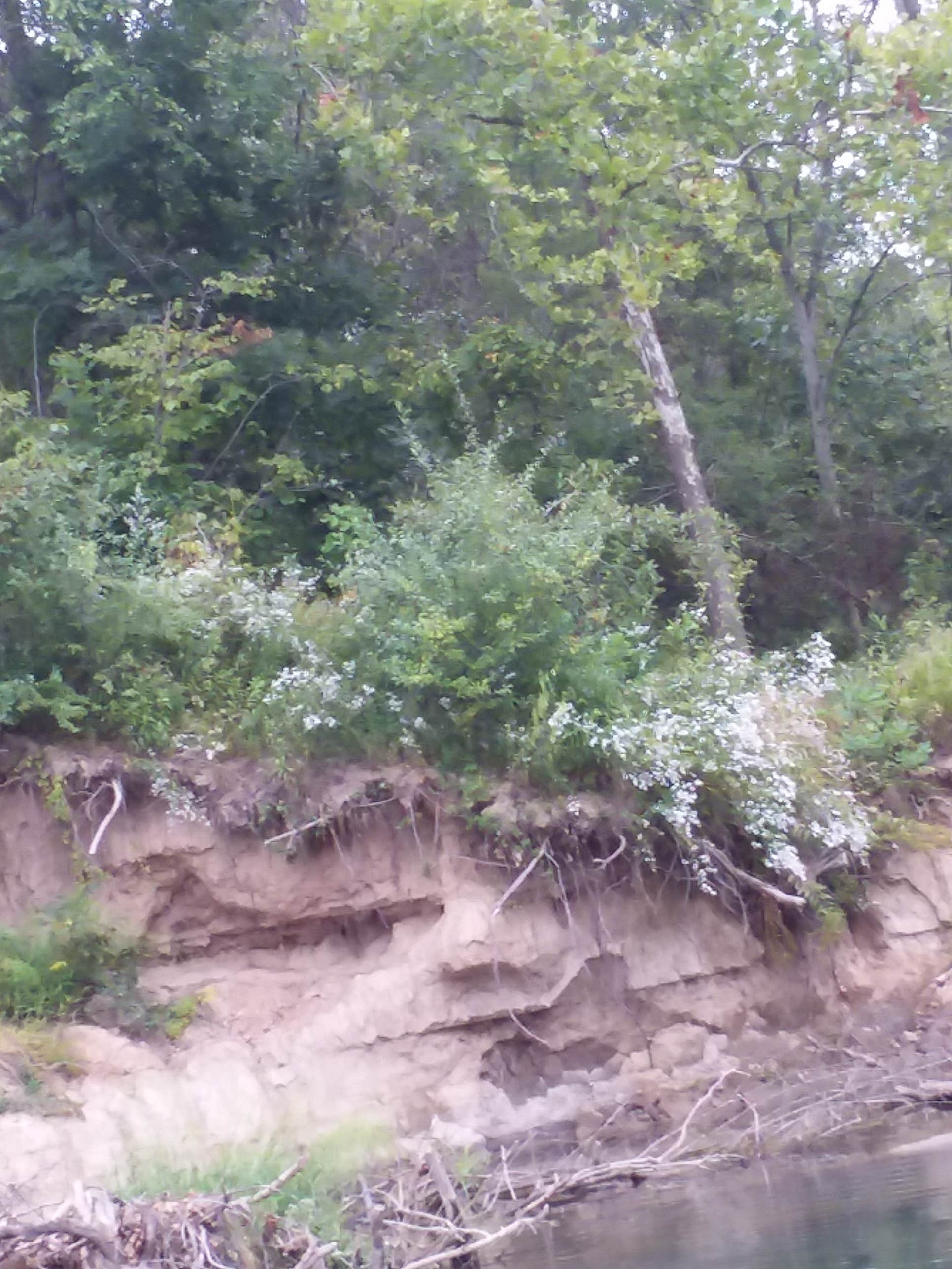 Camper submitted image from Fiery Fork Conservation Area - 4