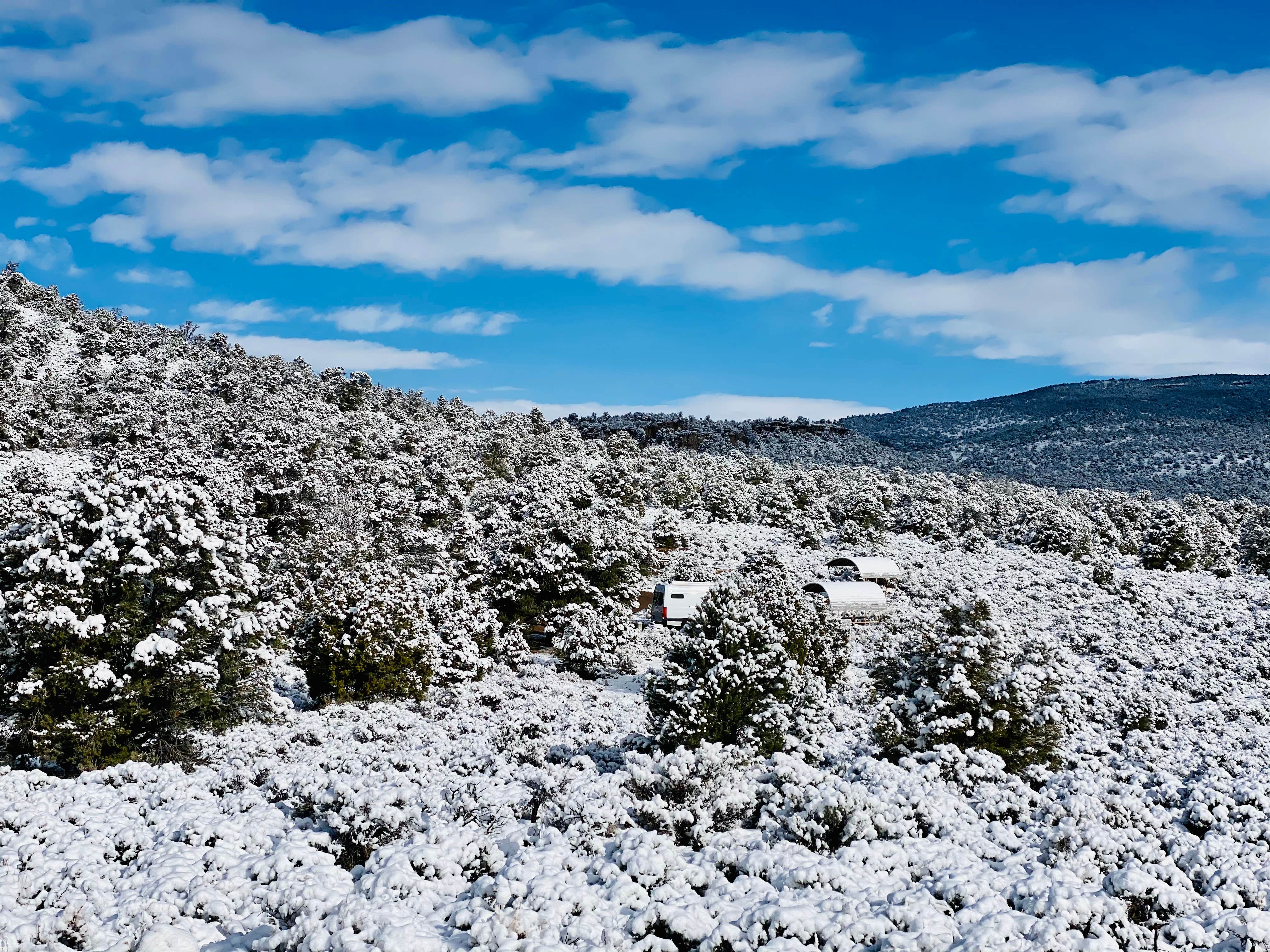 Camper submitted image from Hickison Petroglyph - 1