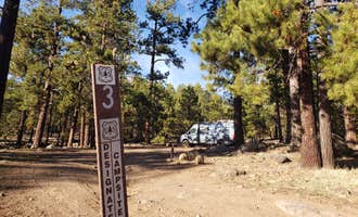Camping near Shultz Creek Trailhead Dispersed: Freidlein Prairie Dispersed Camping, Bellemont, Arizona