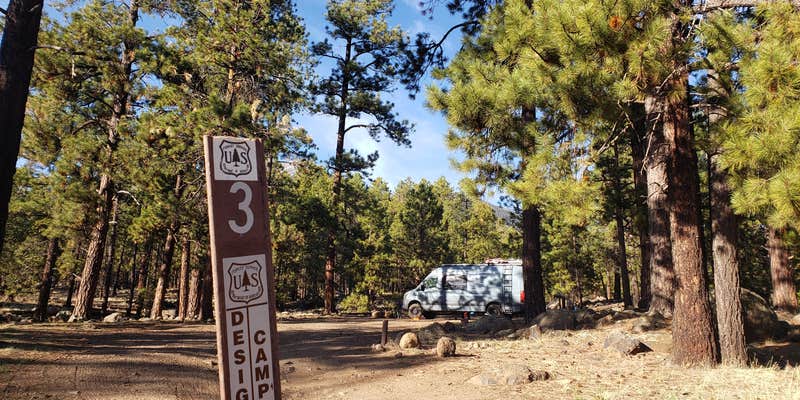 Camper submitted image from Freidlein Prairie Dispersed Camping