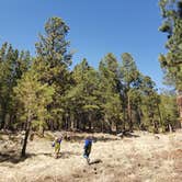 Review photo of Freidlein Prairie Dispersed Camping by Jeanie P., April 27, 2021