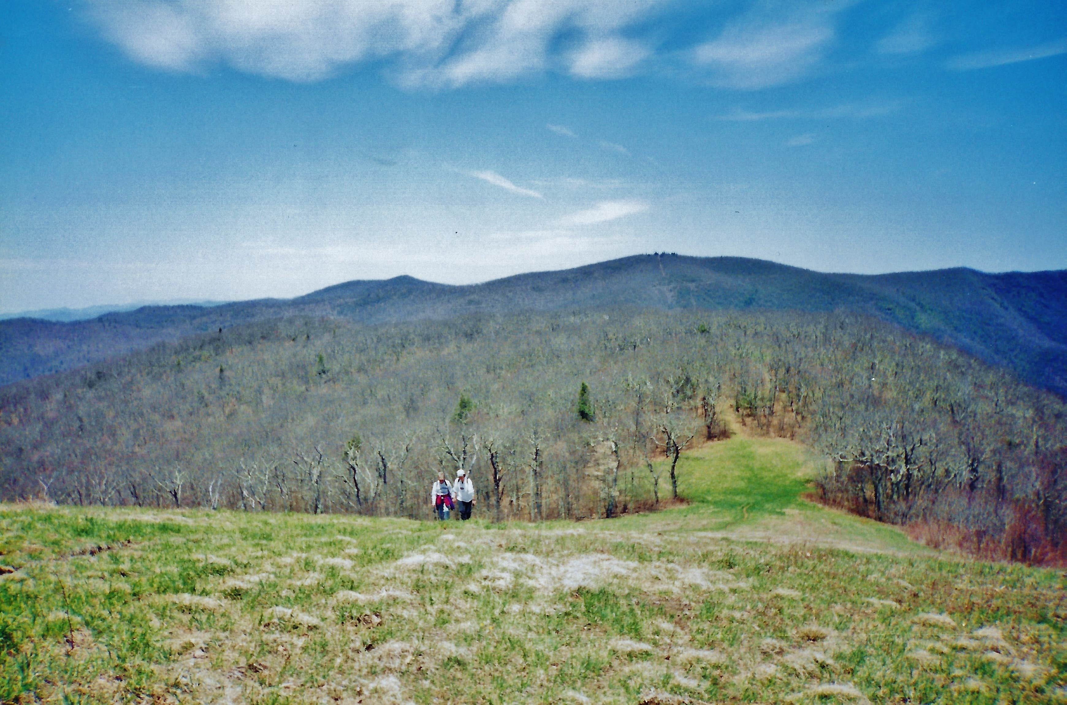 Camper submitted image from Siler Bald Trail Shelter TR 373 - 3