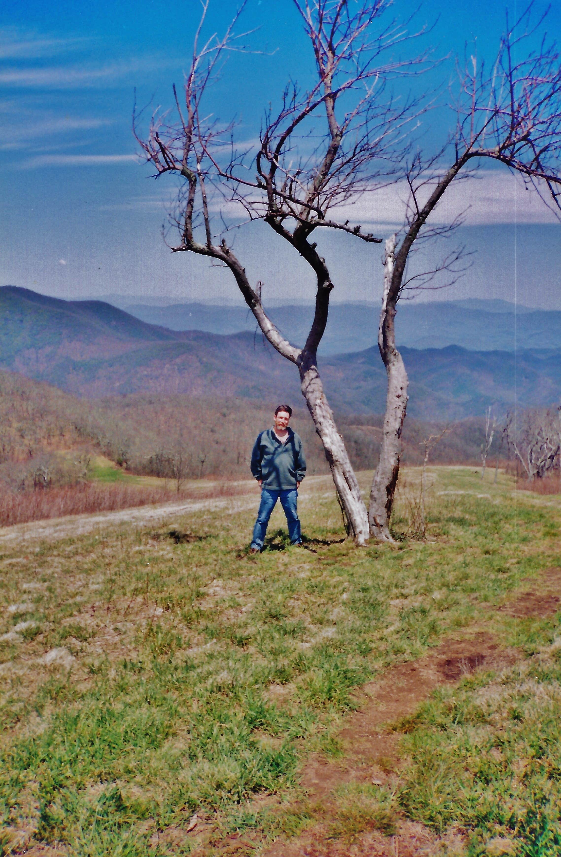 Camper submitted image from Siler Bald Trail Shelter  TR 373 - 2