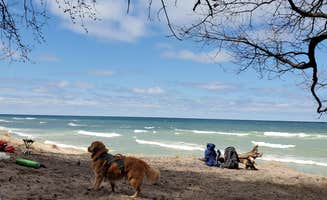 Den R.'s photo of camping with pets at Nordhouse Dunes Wilderness in Michigan