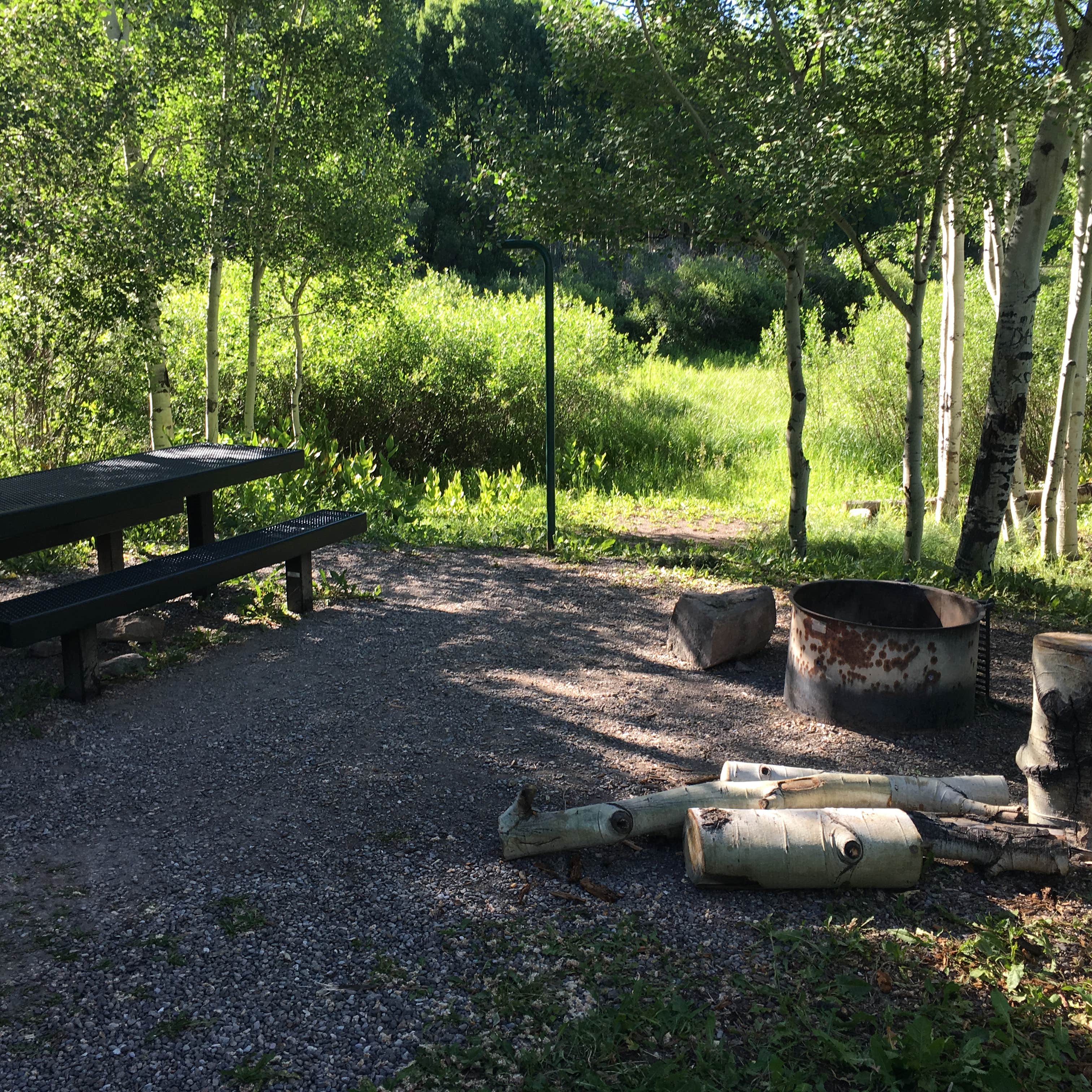 Escape to Sunshine: Your Colorado Campground Adventure Awaits!