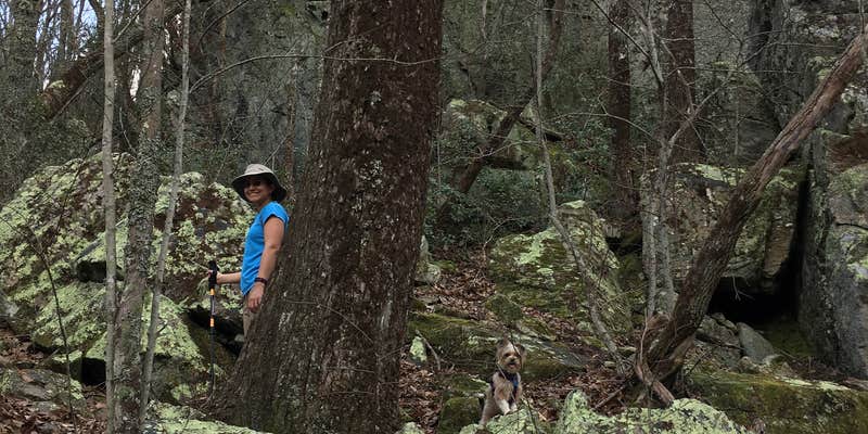 Camper submitted image from Skyway Loop Campgrounds near Southern Trailhead
