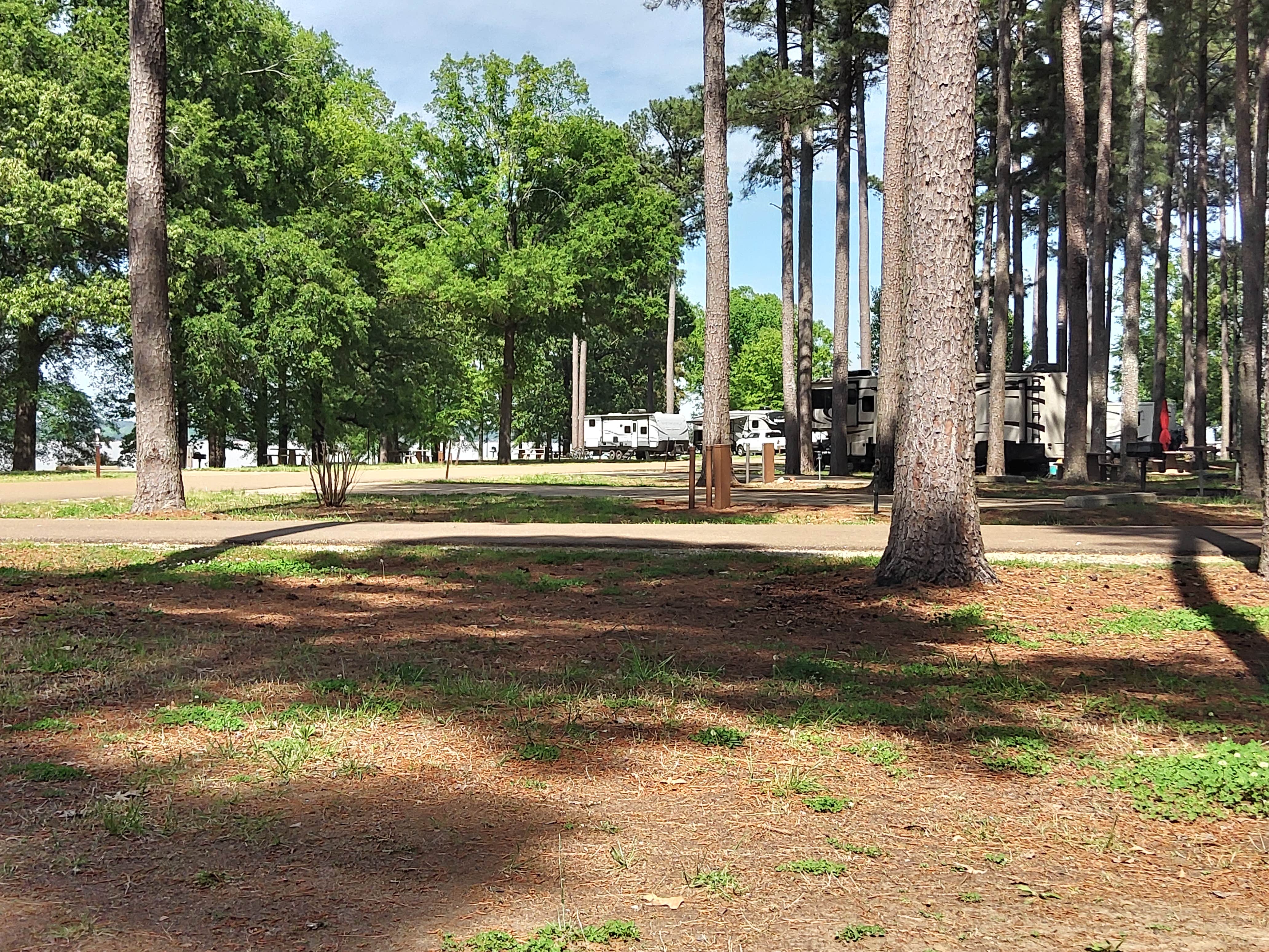 Camper-submitted photo at Persimmon Hill(enid Lake) near Sam Rayburn Reservoir
