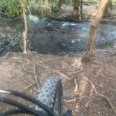 Review photo of Cades Cove Campground by Chris C., April 27, 2021