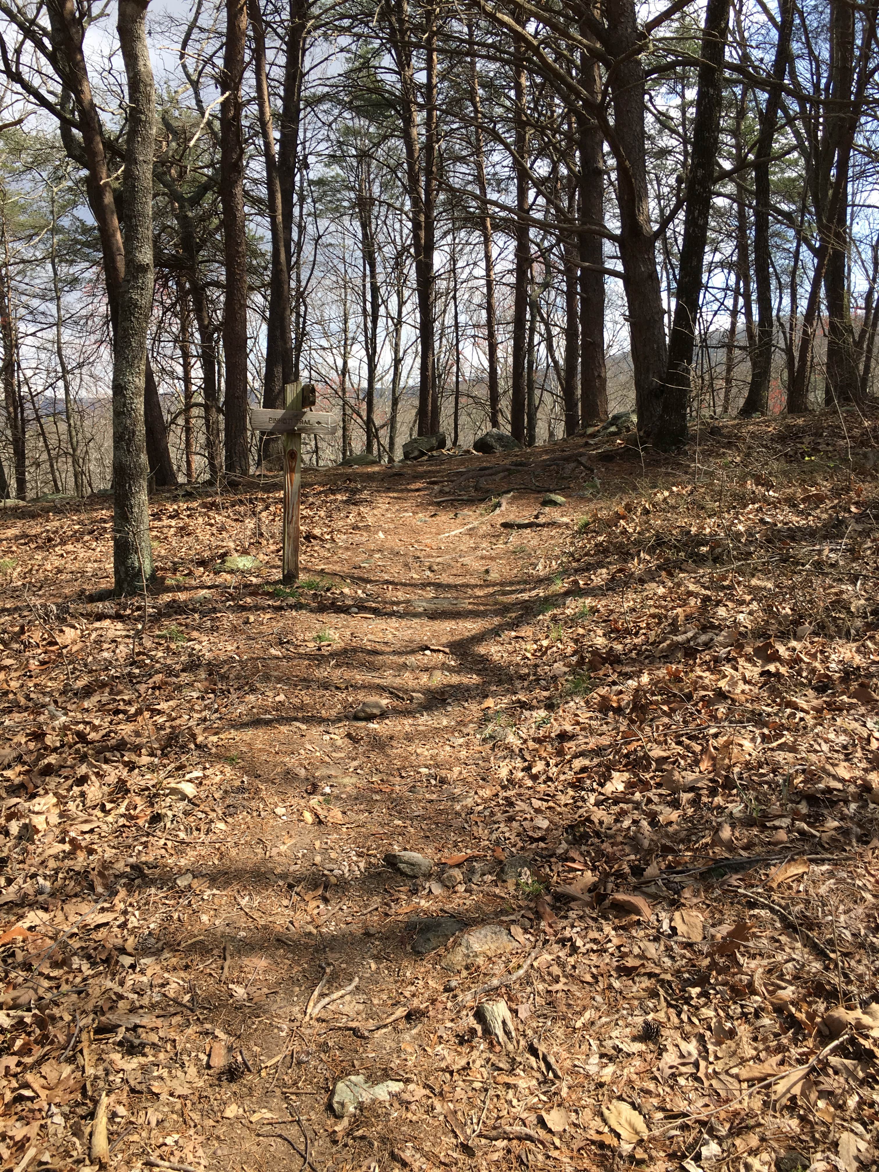 Camper submitted image from Skyway Loop Trail Turn Campground - 2