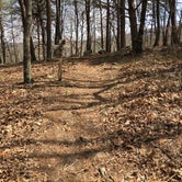 Review photo of Skyway Loop Trail Turn Campground by Asher K., June 1, 2018