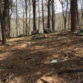 Review photo of Skyway Loop Trail Turn Campground by Asher K., June 1, 2018