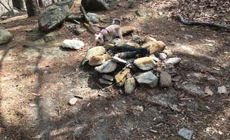 Asher K.'s photo of camping with pets at Skyway Loop Trail Turn Campground near Dadeville, AL
