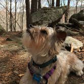 Review photo of Skyway Loop Trail Turn Campground by Asher K., June 1, 2018