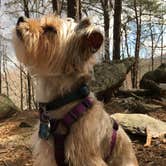 Review photo of Skyway Loop Trail Turn Campground by Asher K., June 1, 2018