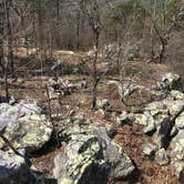 Review photo of Skyway Loop Trail Turn Campground by Asher K., June 1, 2018