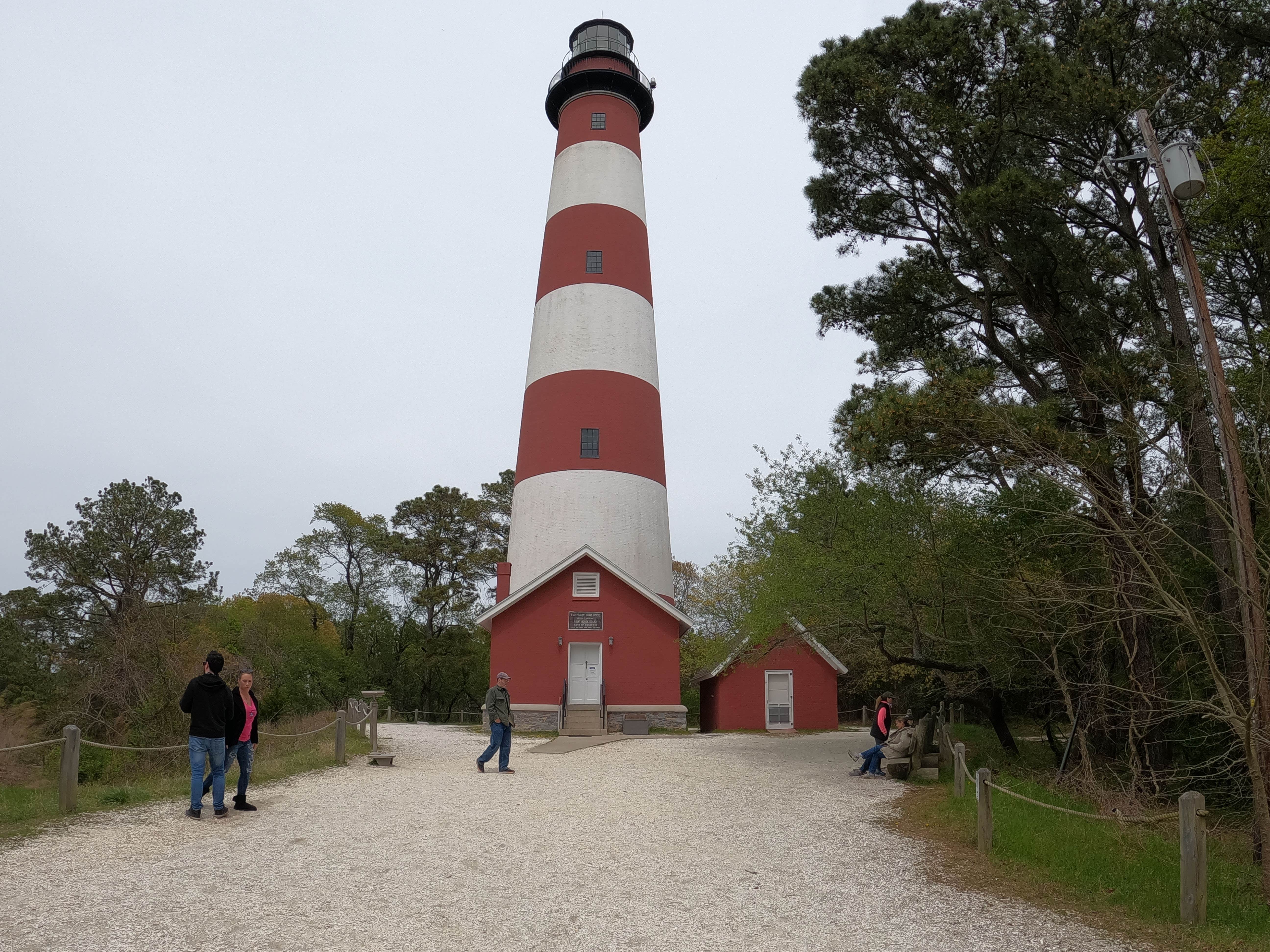 Camper submitted image from Jellystone Park™ Chincoteague Island - 4