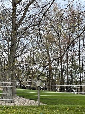 Camper-submitted photo at Amish Country Campsites near Dundee, OH