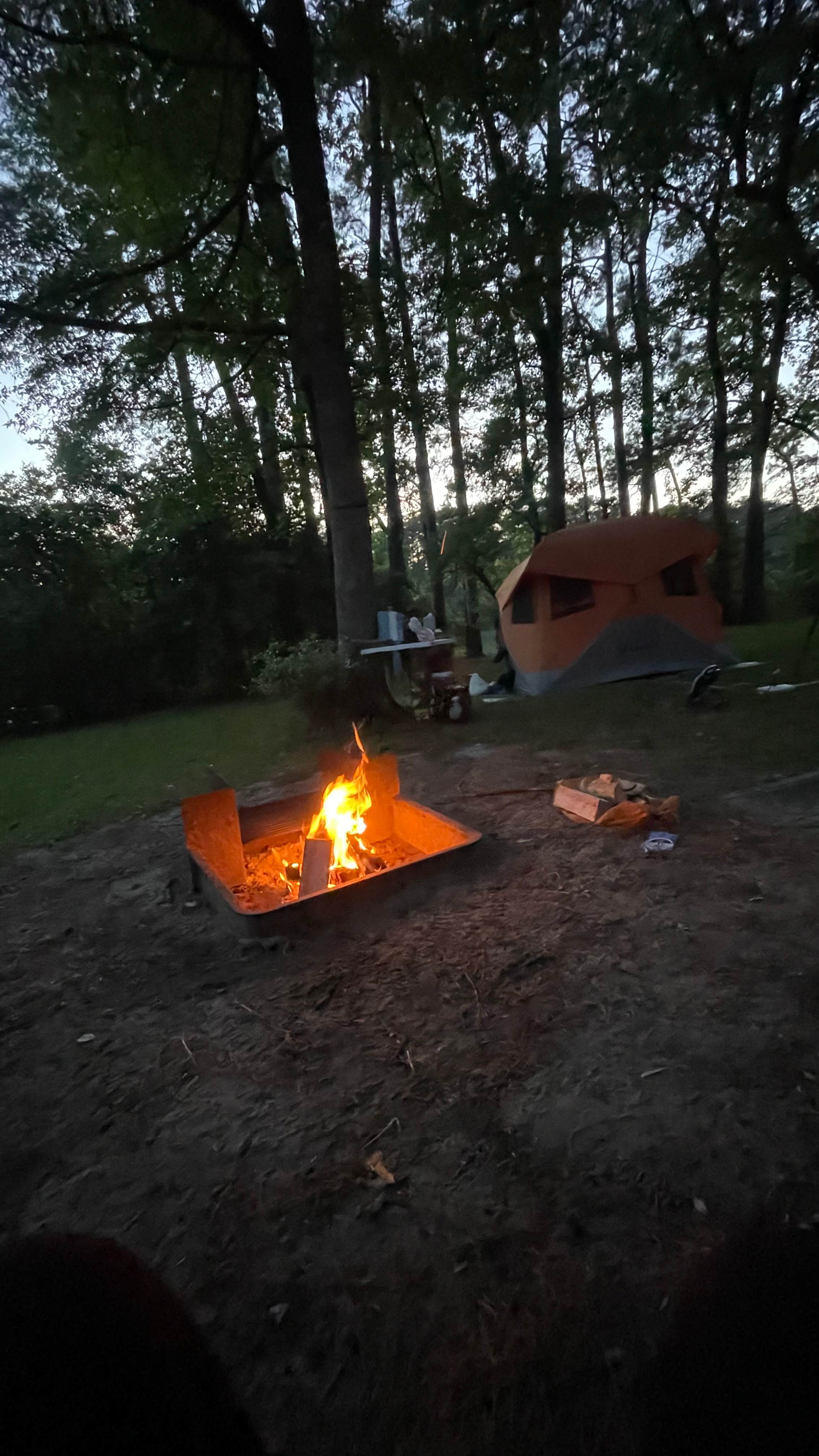Tatiana  C.'s photo of tent camping at Huntsville State Park Campground near Cedar Creek, TX