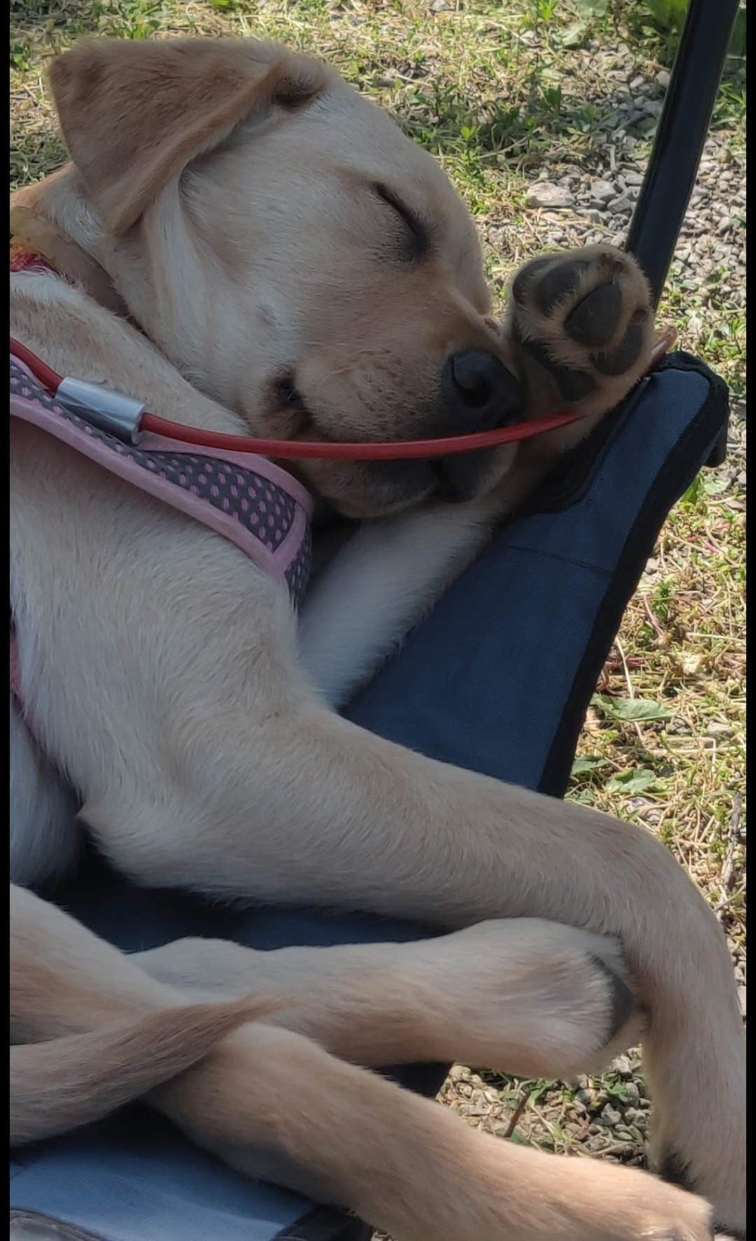 Camper-submitted photo at Yogi Bear's Jellystone Park at Kansas City near Lake Quivira, KS