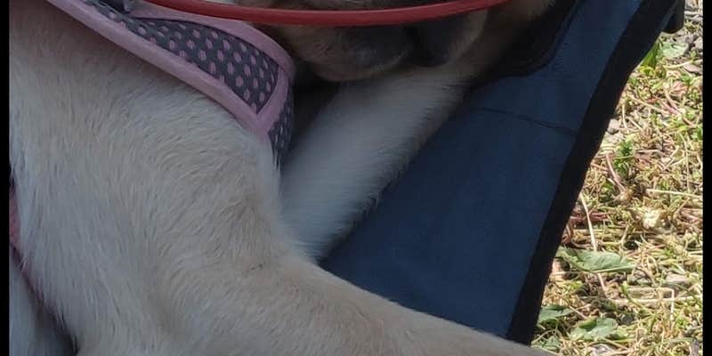 Camper submitted image from Yogi Bear's Jellystone Park at Kansas City