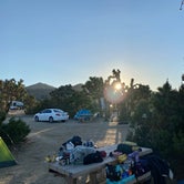 Review photo of Black Rock Campground — Joshua Tree National Park by Nicholas D., April 28, 2021