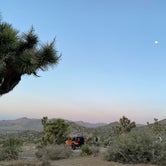 Review photo of Black Rock Campground — Joshua Tree National Park by Nicholas D., April 28, 2021