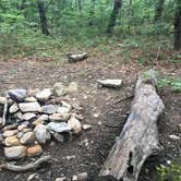 Review photo of Pinhoti Trail Backcountry Campground by Asher K., June 1, 2018