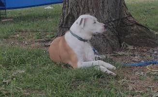 Dawn H.'s photo at Yogi Bear's Jellystone Park at Kansas City near Hillsdale, KS