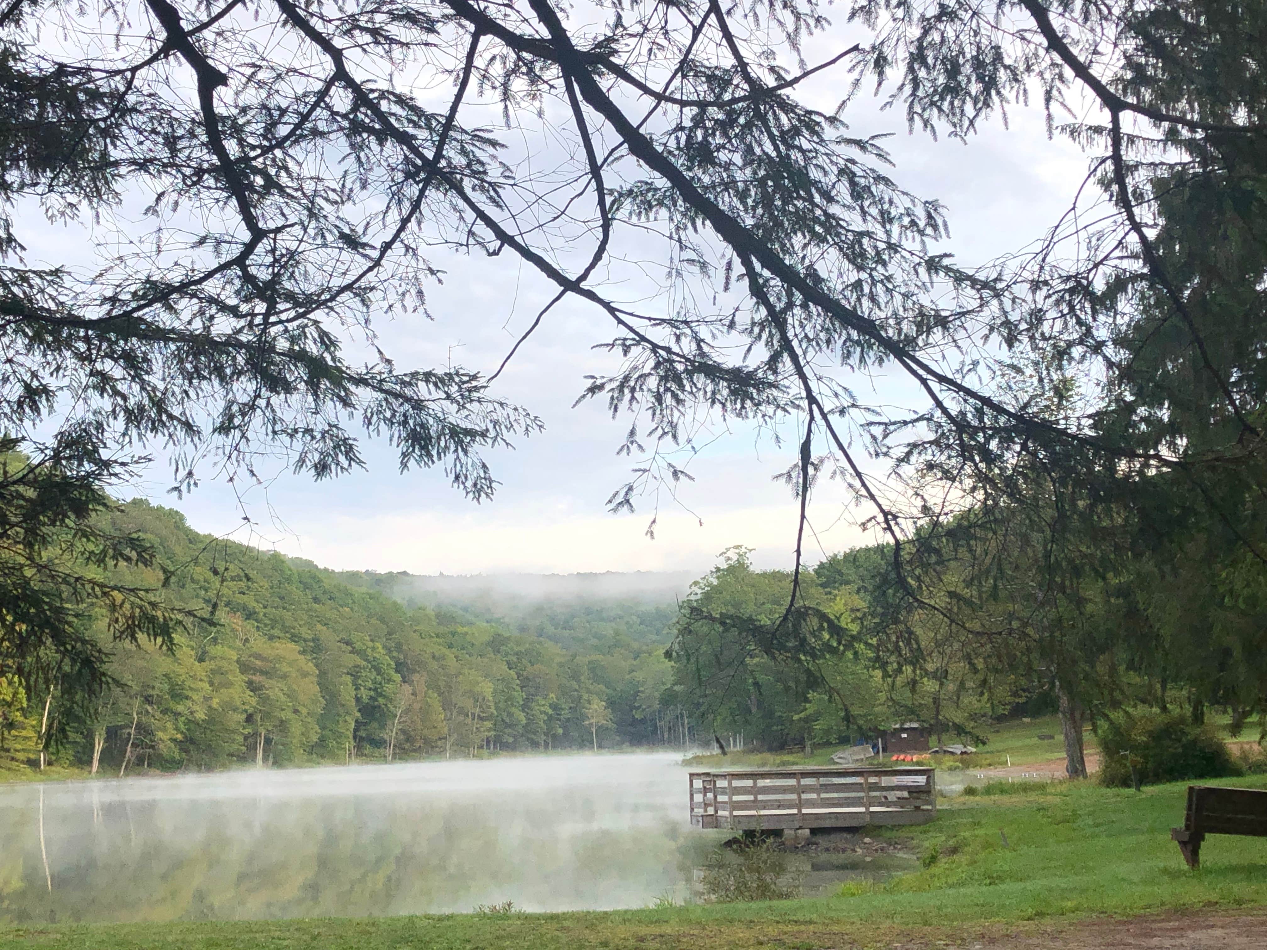 Camper-submitted photo at Bear Spring Mountain — DEC near Bloomville, NY