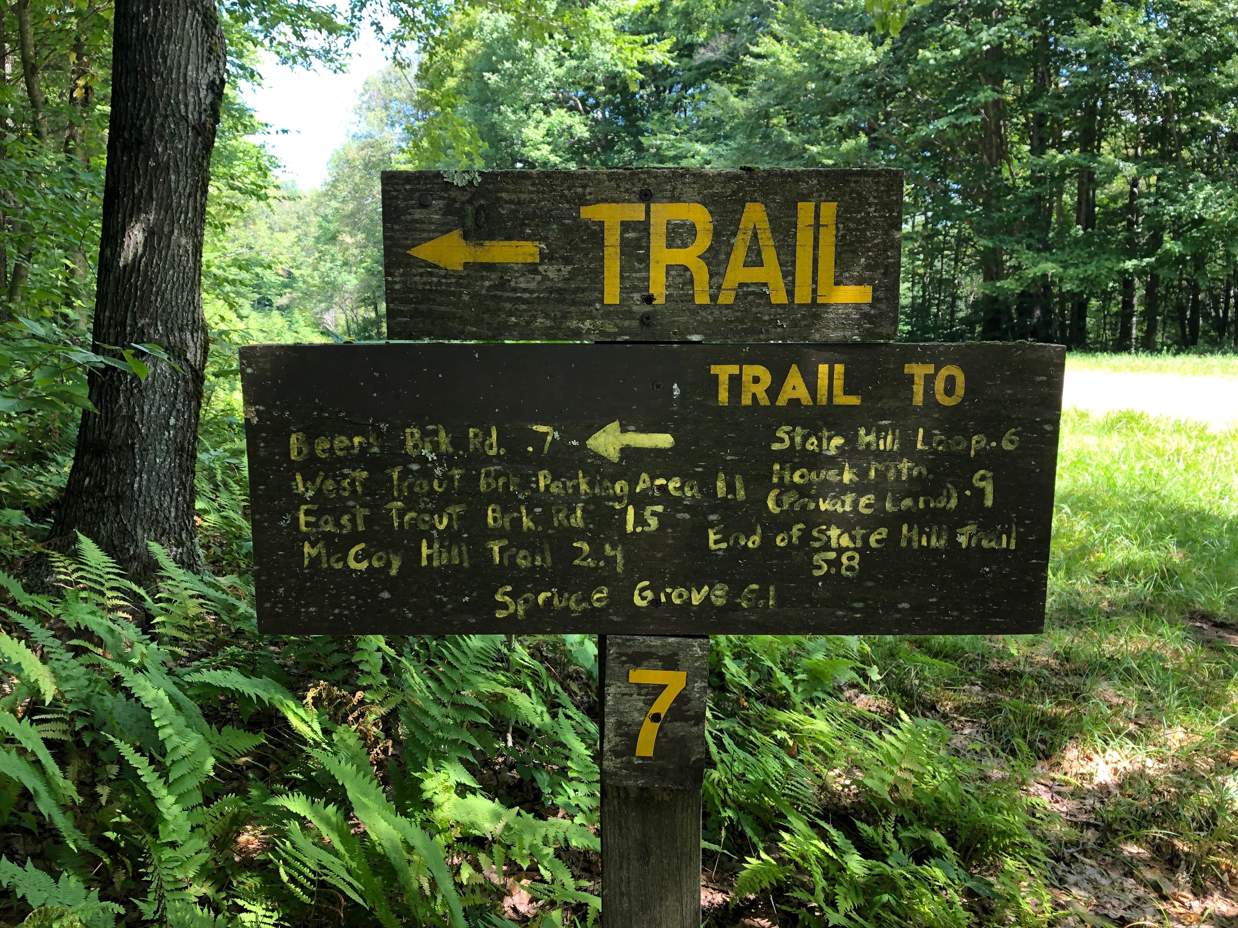 Bear Spring Mountain — DEC Camping | Downsville, New York