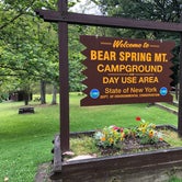 Review photo of Bear Spring Mountain - DEC by J   G., April 28, 2021