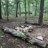 Review photo of Pinhoti Trail Backcountry Campground — Cheaha State Park by Asher K., June 1, 2018