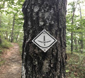 Camper-submitted photo from Pinhoti Trail Backcountry Campground — Cheaha State Park