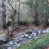 Review photo of Limekiln State Park Campground — TEMPORARILY CLOSED by Nina F., April 28, 2021