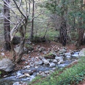 Review photo of Limekiln State Park - TEMPORARILY CLOSED by Nina F., April 28, 2021